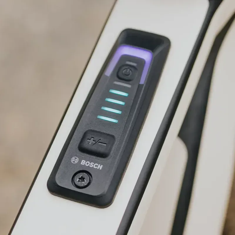 Bosch BRC3100 Smart System Controller in Black-6