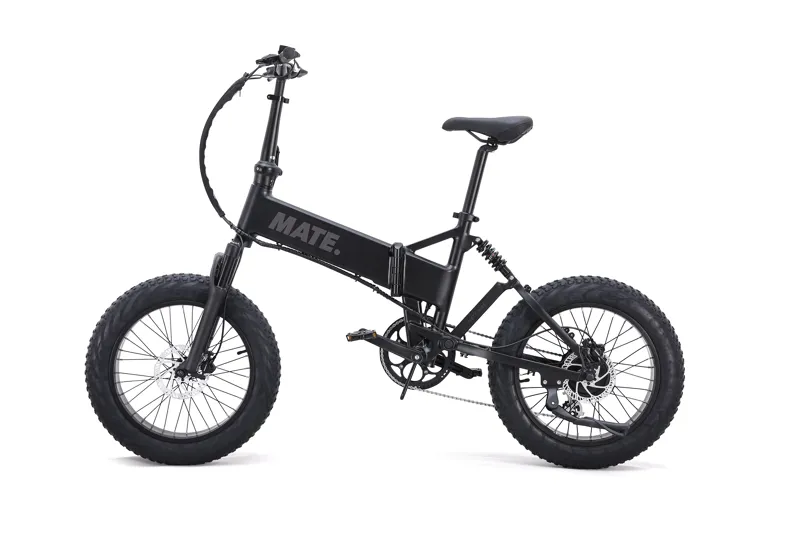 MATE X EVO 250w Subdued Black-1