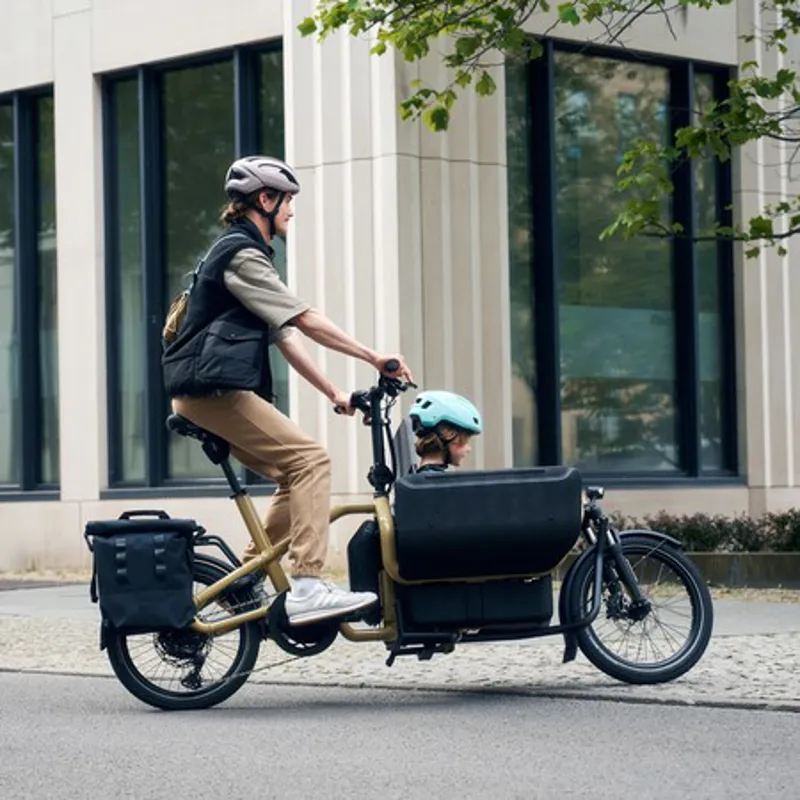 Riese and Muller Carrie Vario Anise-1