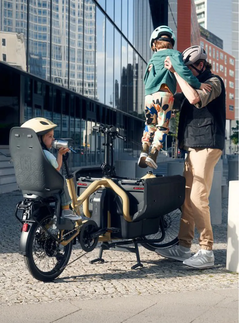 Riese and Muller Carrie Vario Anise