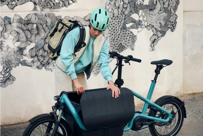 Riese and Muller Carrie Vario Anise-5