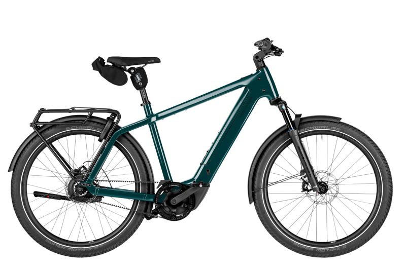 Riese and Muller Charger5 Vario 53cm Pine