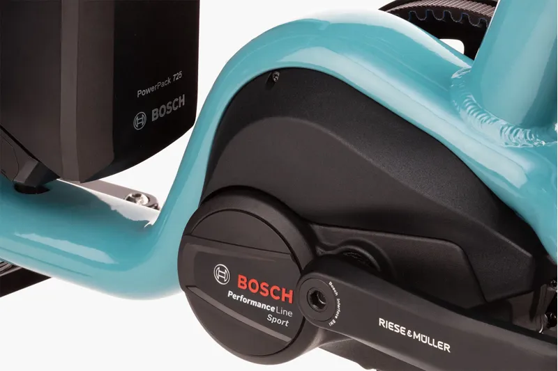 Riese and Muller Carrie Vario Anise-6