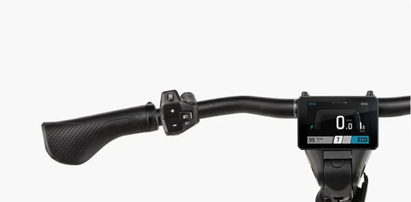 Riese and Muller Delite5 GT Pinion 51 cm in Amber-4