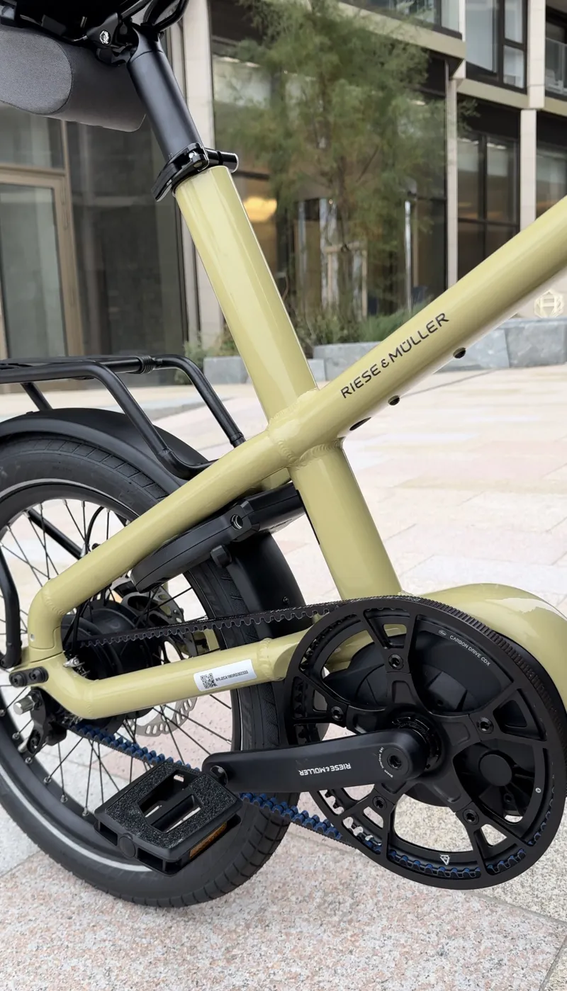 Riese and Muller Carrie Vario Anise-13