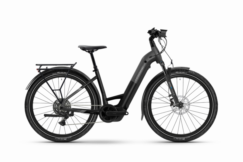 Haibike Trekking 6.5 Low in Stardust/Titan