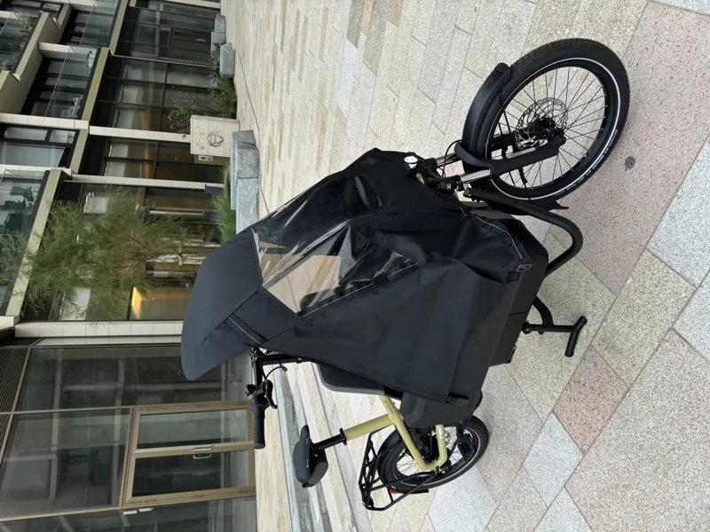 Riese and Muller Carrie Vario Anise-10