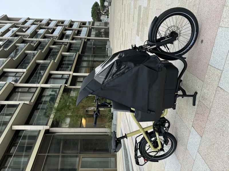 Riese and Muller Carrie Vario Anise-11