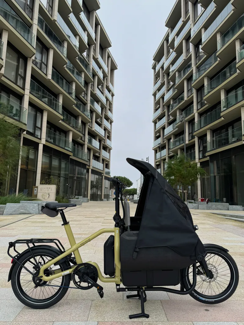 Riese and Muller Carrie Vario Anise-9