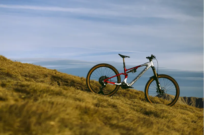 Megamo Reason AL 07 RAW-3