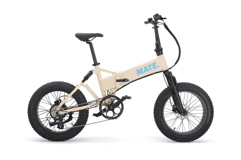 MATE X EVO 250w Point Dune