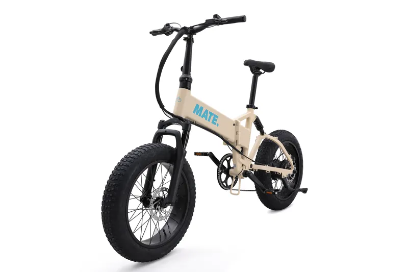 MATE X EVO 250w Point Dune-3