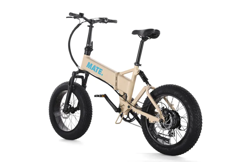 MATE X EVO 250w Point Dune-5