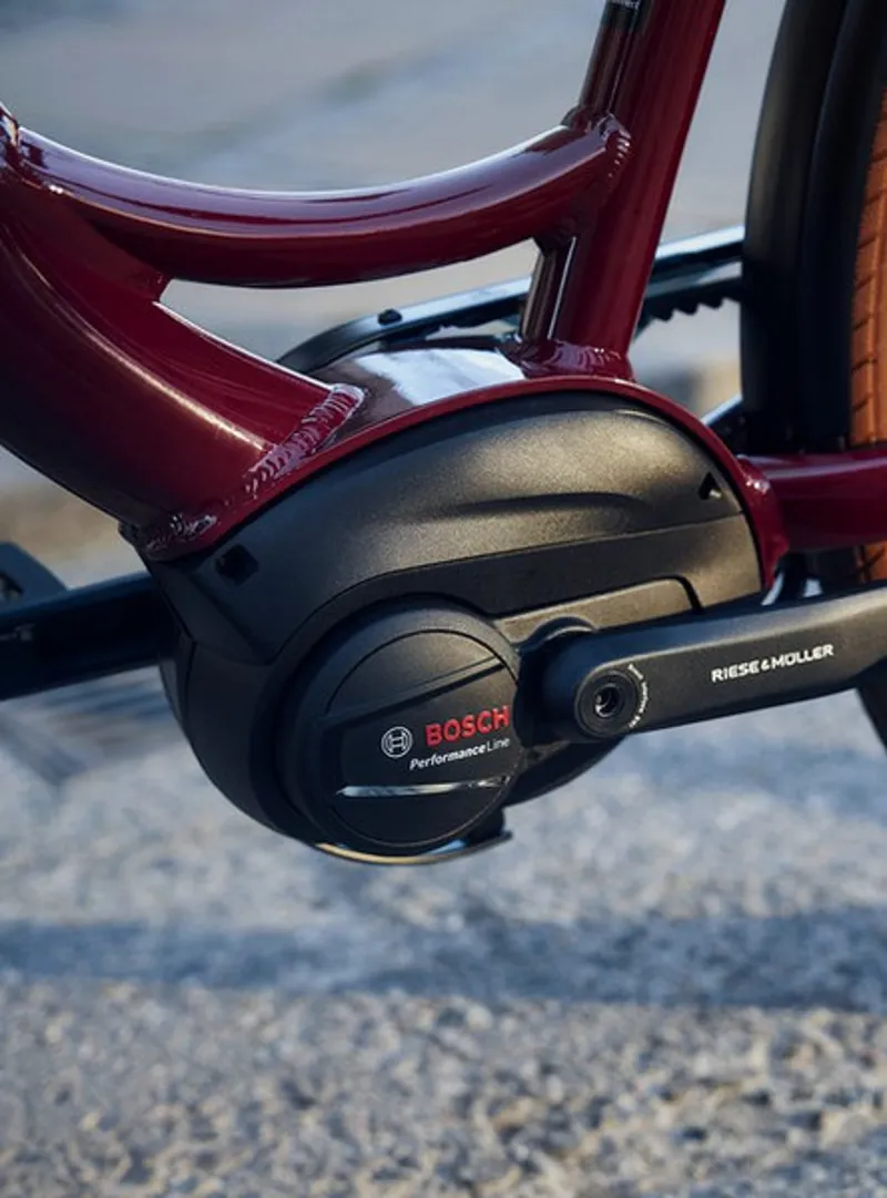 Riese and Muller Swing4 Automatic 46cm in Bordeaux-2